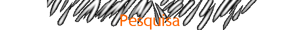 Pesquisa