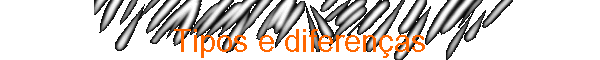 Tipos e diferenças